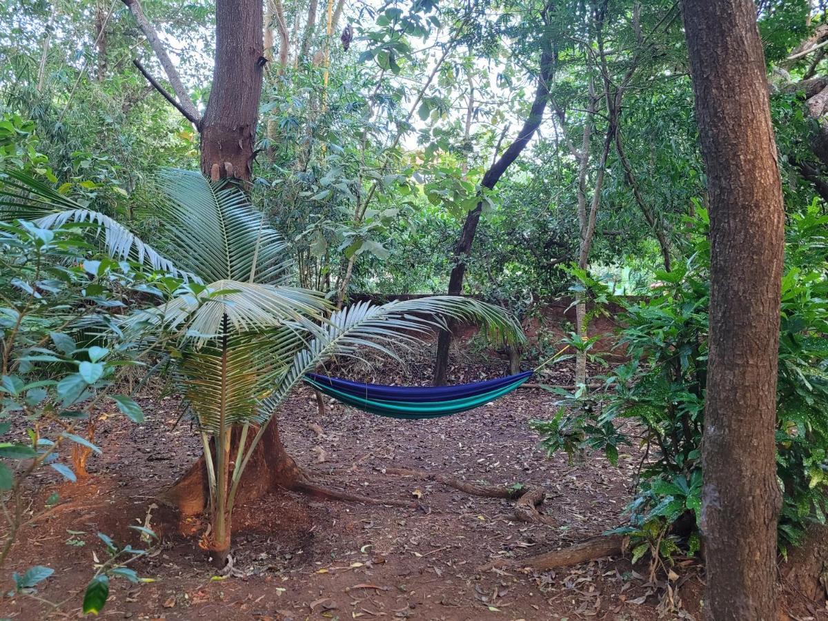Sunny'S Paradise Gokarna (Karnataka) Exterior photo